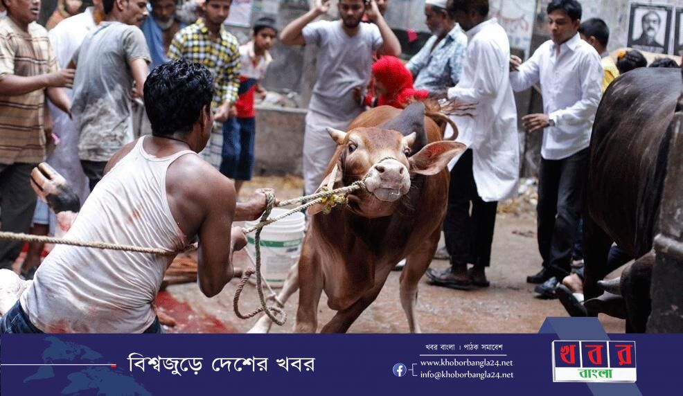 eid-azha-khoborbangla24.net