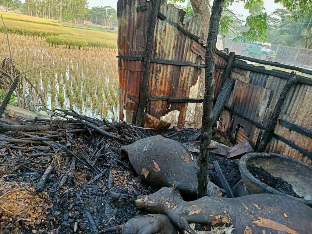 বাঁশখালীর খানখানাবাদ ইউনিয়নে ভয়াবহ অগ্নিকাণ্ড ঘর ও গরু পুড়ে ছাই