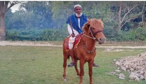 ৩ হাজারের বেশি কবর খোঁড়া মনু মিয়ার ঘোড়াটি মেরে ফেলল দুর্বৃত্তরা