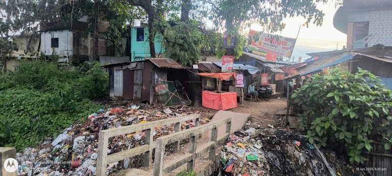 মিরসরাই এ বাজারের ময়লার স্তুপের কারণে হাজারো মানুষের দুর্ভোগ