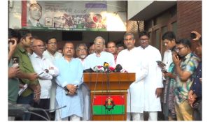 ১৫ বছর পর গণতন্ত্রে উত্তরণের সুযোগ পাচ্ছে দেশ: মির্জা ফখরুল